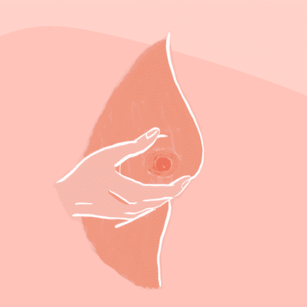Breastfeeding Guide