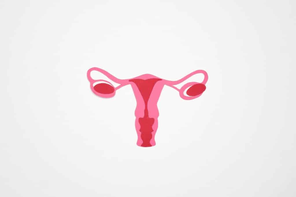 Fallopian tubes ectopic pregnancy